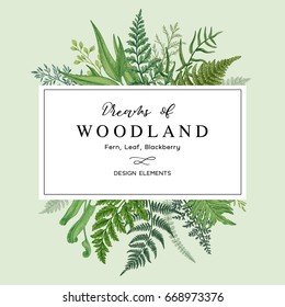 Banner with herbs, leaves and ferns. Frame with a leafy bouquet.  Floral design elements. Vector illustration. Vintage style.