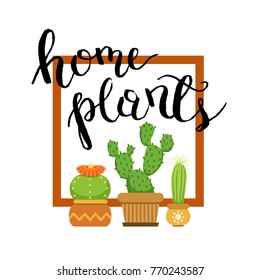 Banner with home green plant cactus. Cacti in frame. Vector illustration