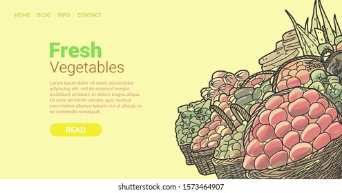 Banner inscription fresh vegetables, cartoon. Red and green organic food for healthy diet. Vegan assortment product. Landing page. Attractive greenery stands on pallet. Digital illustration.