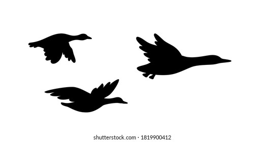 Banner Isolated On White Background Waterfowls Stock Vector (Royalty ...