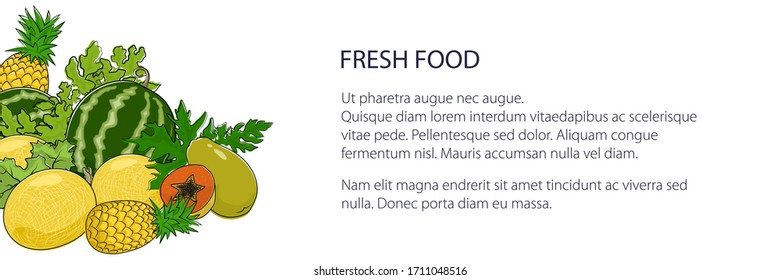 Banner with juicy tropical summer berries and fruits , natural organic and healthy food concept, fresh eco fruits, vector illustration