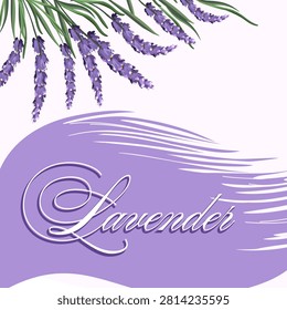 Banner with lavender and text.Color vector illustration with lavender sprigs and text on an abstract background.
