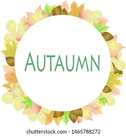 banner leaves colored autumn vector illustration background wallpaper