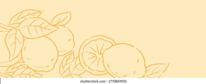 Banner with lemons and leaves. Vector illustration.