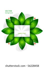 banner lily