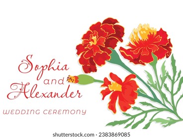 The banner is made in a rustic style with fully colored plant parts placed on the right side. Hand-drawn Illustrations of common garden flowers for greeting cards, invitations, interior design, etc.