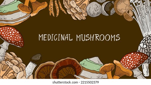 Banner with medicinal mushrooms, lettering isolated on brown. Background with symbols of traditional medicine for posters, social media. Postcard with plants for phytotherapy. Vector illustration.