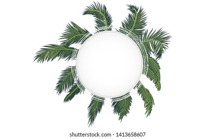 Banner on the background of palm branches, vector art illustration.