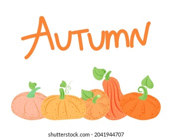 Banner on a white background. Pumpkins with polka dots. Autumn. October. Halloween The vector is made in a flat style. Suitable for postcards and posters.