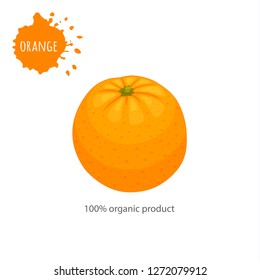 Banner with orange. Whole fruit isolated on white background. Icon labeled. Vector template.