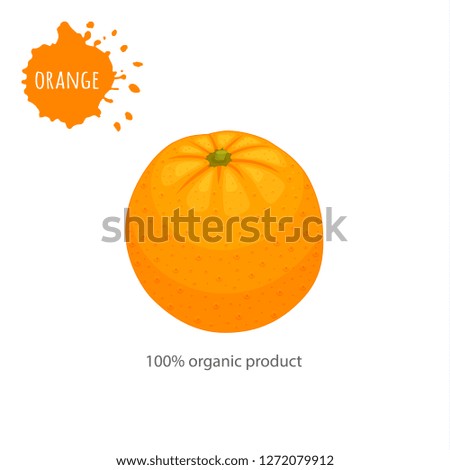 Banner with orange. Whole fruit isolated on white background. Icon labeled. Vector template.
