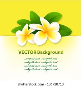 banner with orchids, floral vector background
