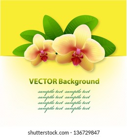 banner with orchids, floral vector background