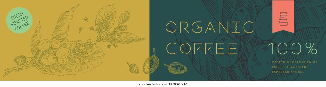 Banner organic coffee, template design for coffee roaster concept, bakery banner for eco store and market, flower panoramic background with vector coffee beans illustration in engraving style.