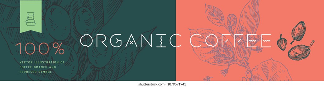 Banner organic coffee, template design for fresh roasted coffee concept, bakery banner for cafe design, cafeteria, flower panoramic background with vector coffee beans illustration in engraving style.