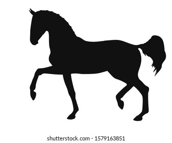 Banner with the outline of a warm blooded horse