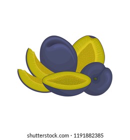 Banner with plums. Vector composition with ripe whole, sliced and half plum. Template.