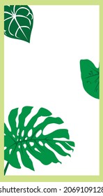 Banner, poster with green leaves, jungle leaf and white background. Floral tropical summer background