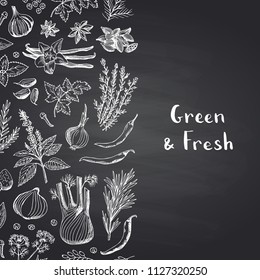 Banner and poster vector hand drawn herbs and spices on black chalkboard background with place for text illustration