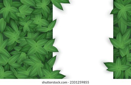 Banner with realistic green leaves pattern and blank white space for text. Botanical poster with branches. Organic wallpaper with frame with herbs, foliage and copy space. 