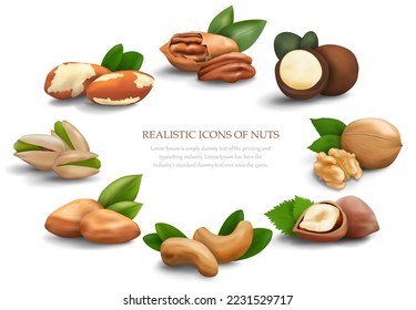 Banner with realistic nuts laid out in a circle. Macadamia nuts, walnuts, pistachios, cashews, Brazil nuts, hazelnuts, almonds and pecans. Nuts in shell, nut kernels and their leaves. Vector