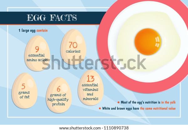 Banner Realistic Raw Egg Nutrition Infographics Stock Vector (Royalty ...