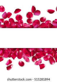 banner of red, pink rose petals on a white background, vector illustration