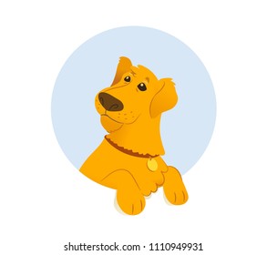 Banner with retriever dog. Vector flat illustration
