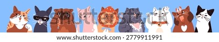 Banner with row of cute cats with different emotions. Group of funny kitties with happy, sad and angry faces. Comic kittens portraits. Naughty domestic animals. Flat isolated vector illustration