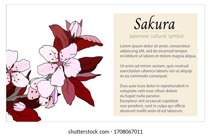Banner with sakura flowers. Vector hand-drawn illustration for information flyers, presentations, postcards and travel posters.