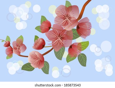 Banner sakura , spring , postcard . 