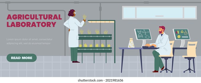 Banner For Science Agriculture Laboratory With Scientists Research Of Plant Breeding, Biotechnology, Biology Genetics. Lab Workers Carry Experiments On Sprouts Growing In Test Tubes