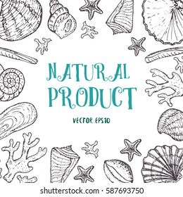 Banner with sea life elements and sign NATURAL PRODUCT. Sea shell hand drawn collection with coral, sea star and shells in different forms. Vector stock illustration. 