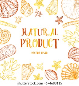 Banner with sea life elements and sign NATURAL PRODUCT Sea shell hand drawn collection with coral, sea star and shells in different forms. Vector stock illustration. 