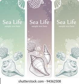 banner with seashells