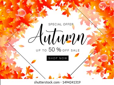 Banner for seasonal autumn sale in frame from fall leaves. Discount offer 50% for shopping promotion. Cover, poster, card, banner, label. Vector illustration 