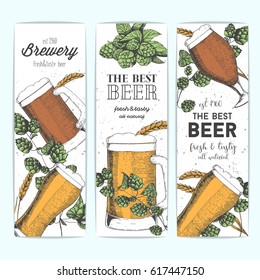 Banner set with beer glasses, barley and hops. Vector illustration in sketch style. Hand drawn colorful beer vertical banners. Engraved style image.