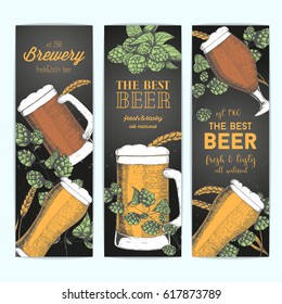 Banner set with beer glasses, barley and hops. Vector illustration in sketch style. Hand drawn colorful beer vertical banners. Engraved style image.