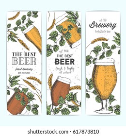 Banner set with beer glasses, barley and hops. Vector illustration in sketch style. Hand drawn colorful beer vertical banners. Engraved style image.