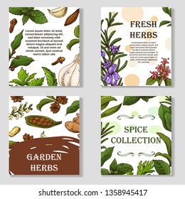 Banner set with hand drawn elements. Herbs and spices in sketch style. Design for tes, cosmetics, health products. Vector illustration.