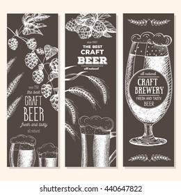 Banner set. Vector illustration in sketch style. Hand drawn beer vertical banners. Line drawing