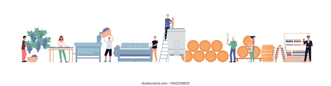 Banner showing process of winemaking, flat vector illustration isolated on white background. Grape cropping and winemaking industry workers busy producing wine.