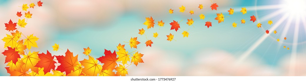 Banner for the site, the sky with clouds, sun and maple leaves, cumulus clouds, cloudy weather.