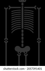 Banner Skeleton and bones for halloween party backdrop. All Hallows Eve background. Place for text