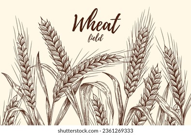 Banner and sketch wheat
