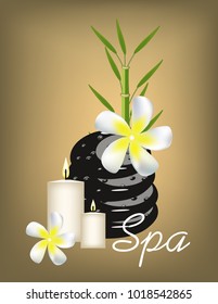 Banner Spa salon