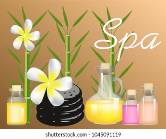 Banner Spa salon