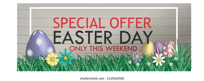 Banner for Special Offer in Easter Day, made with grass and desorated with a square frame, easter eggs and Spring Flowers in wood background 