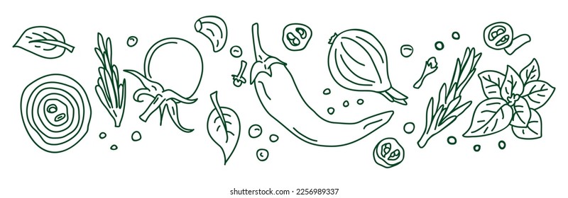Banner. Spices and vegetables background. Vector background with handmade herbs. Sketch design. 