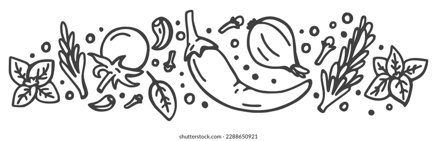 Banner. Spices and vegetables background. Vector background with handmade herbs. Isolated on white background. Sketch design.